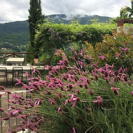 Agriturismo Braccicorti Vila Pieve Fosciana Exterior foto