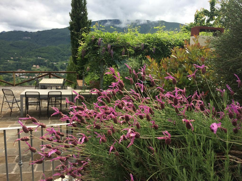 Agriturismo Braccicorti Vila Pieve Fosciana Exterior foto