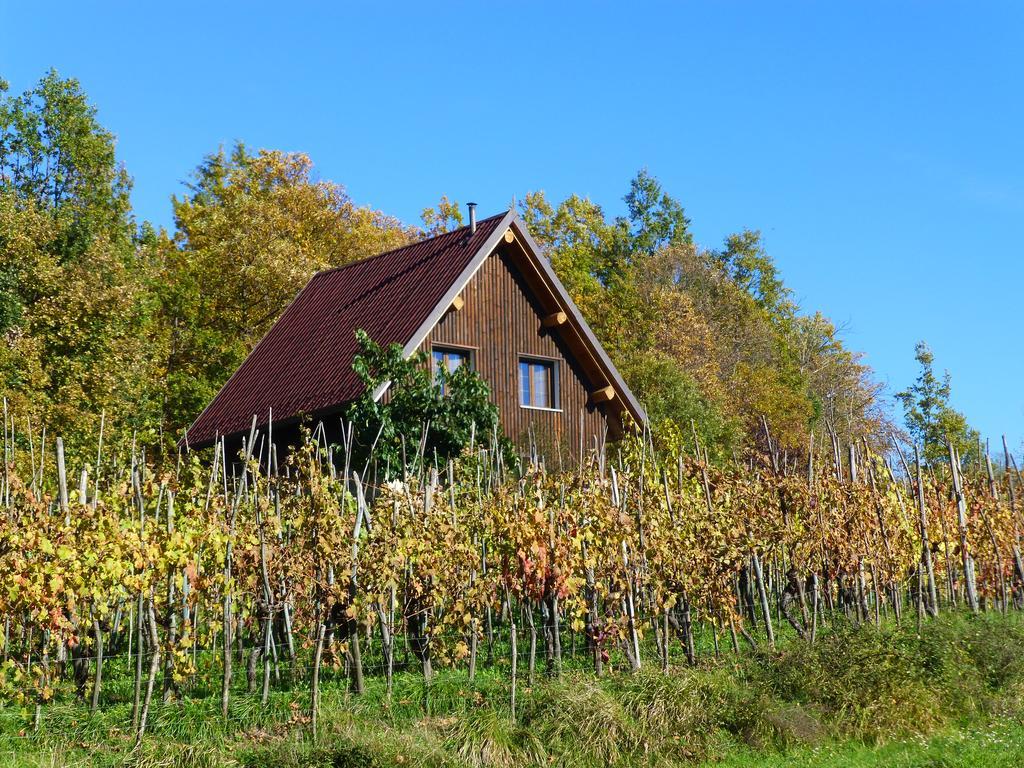 Agriturismo Braccicorti Vila Pieve Fosciana Exterior foto