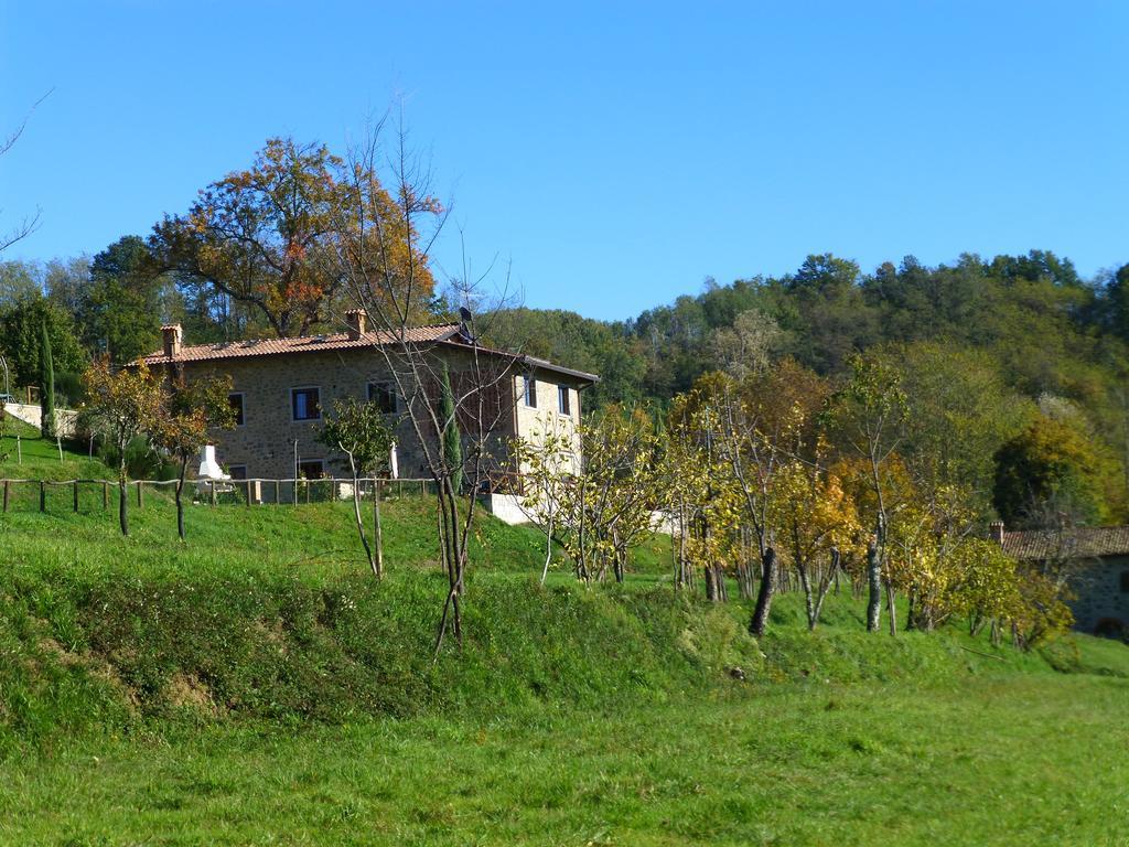 Agriturismo Braccicorti Vila Pieve Fosciana Exterior foto