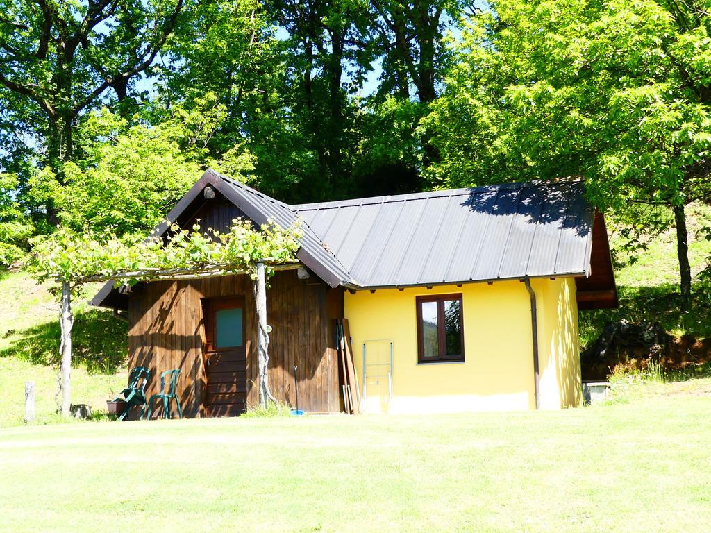 Agriturismo Braccicorti Vila Pieve Fosciana Exterior foto